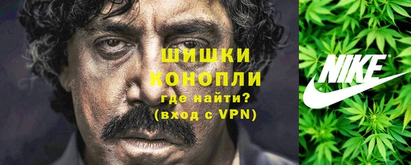 амф Семилуки