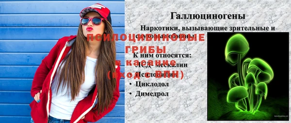 винт Верея